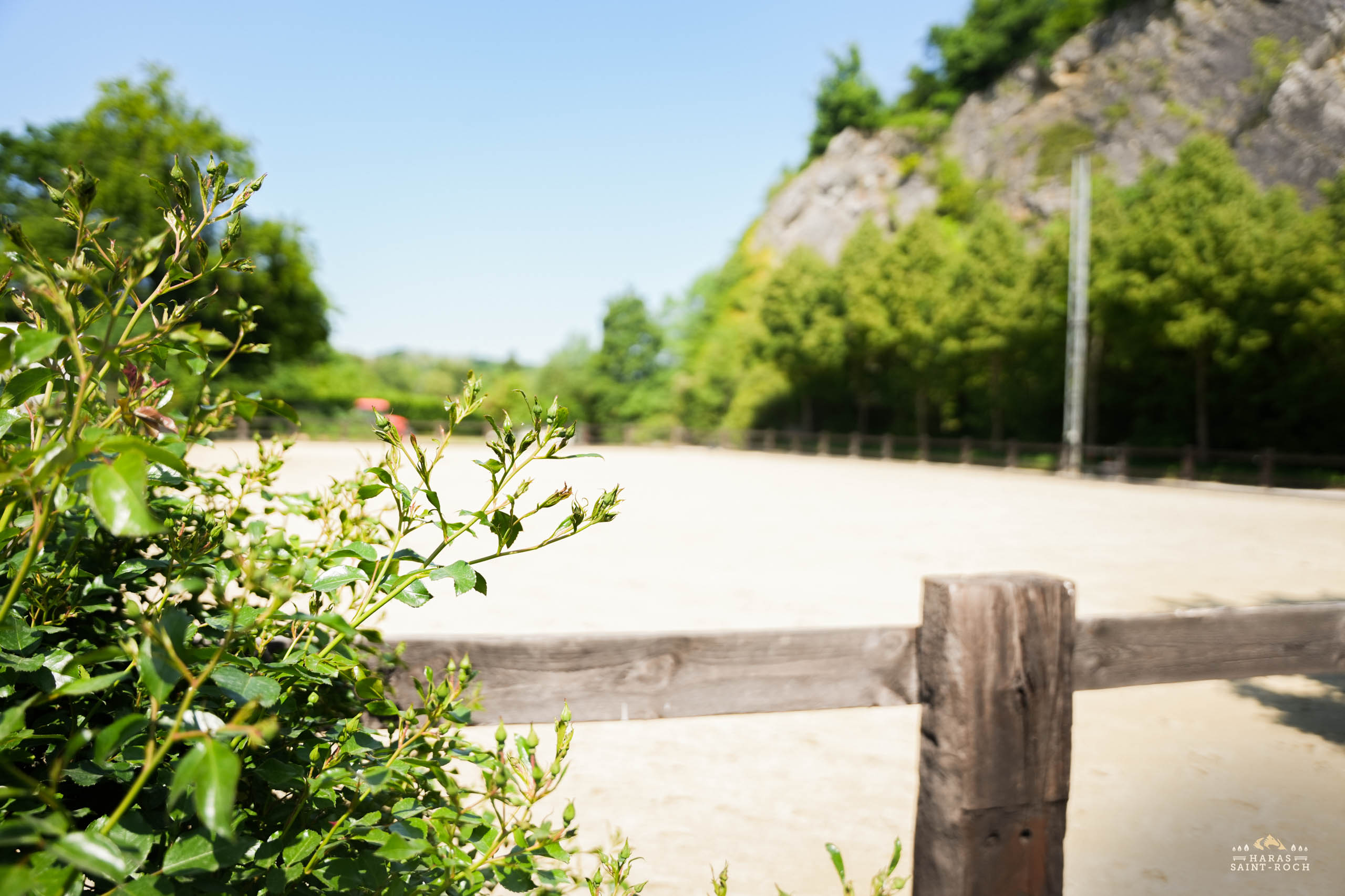 HarasSaintRoch-centre-equestre-2025-023