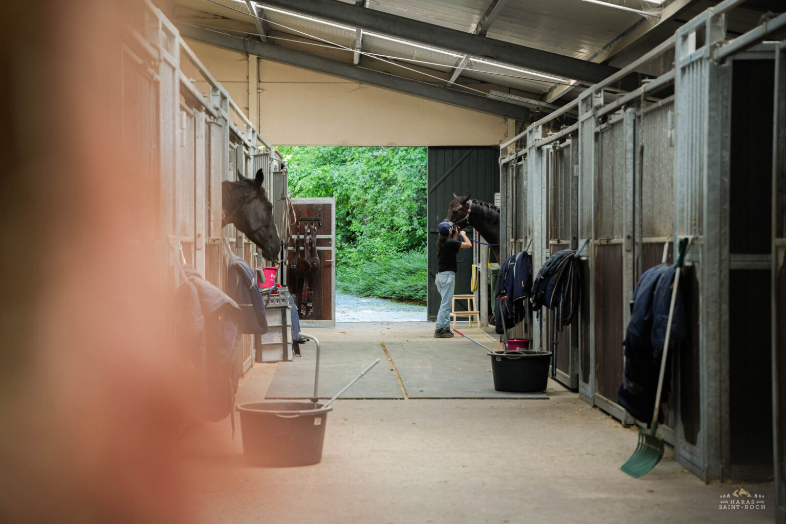 HarasSaintRoch-centre-equestre-2025-045