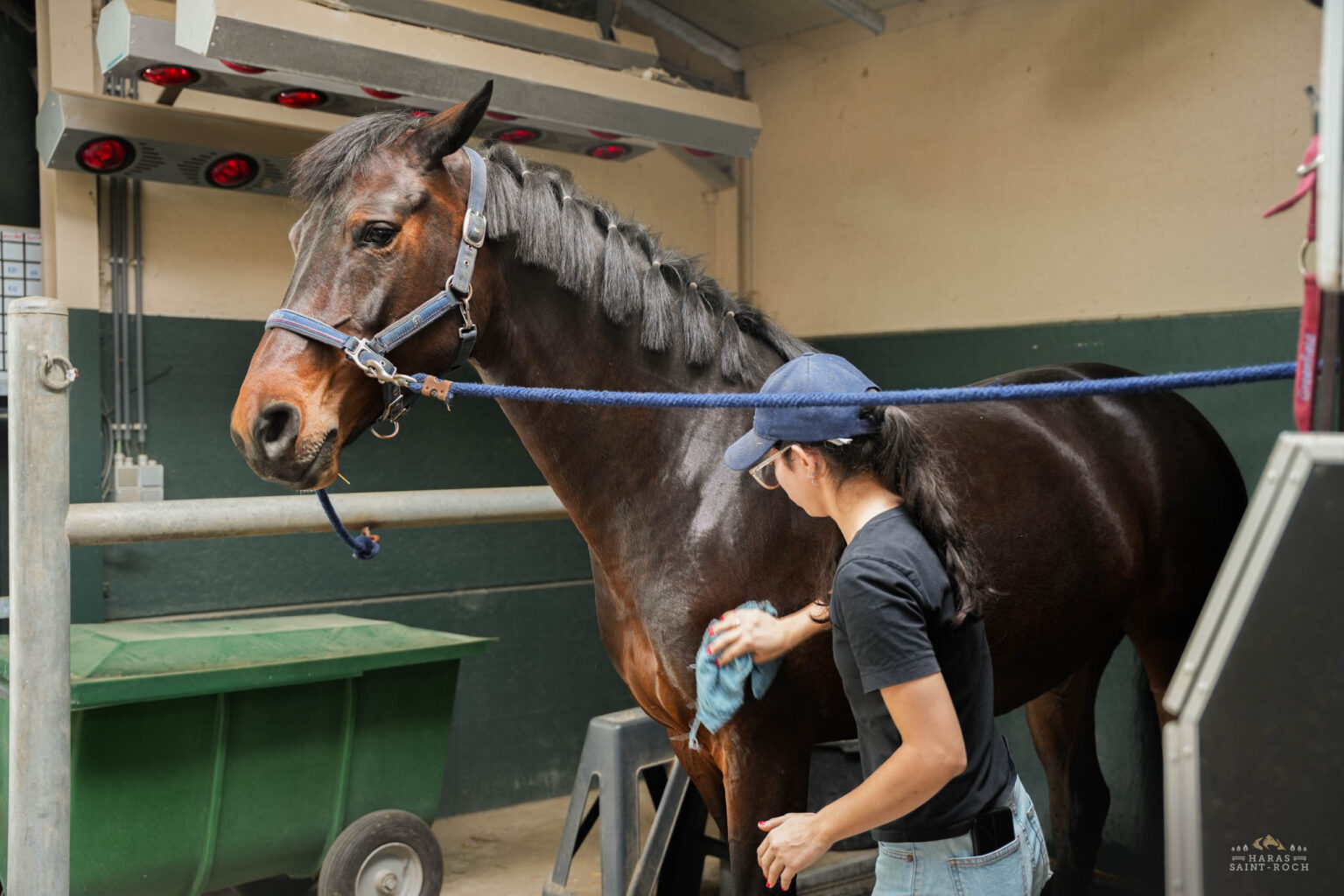 HarasSaintRoch-centre-equestre-2025-053