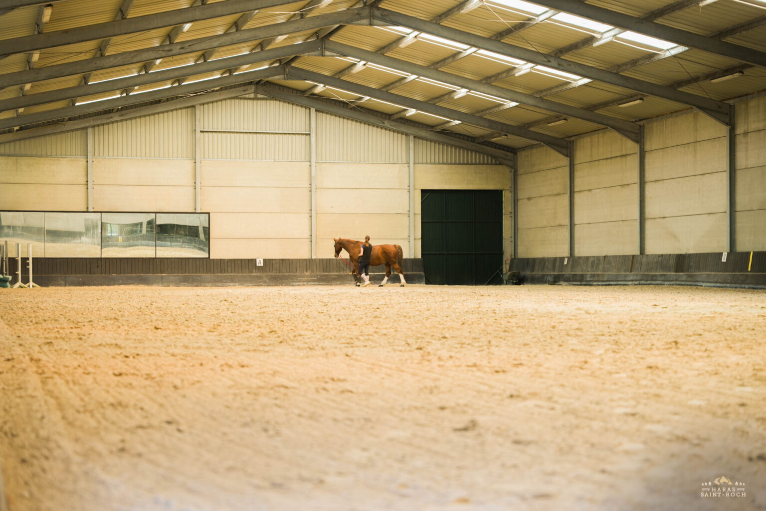 HarasSaintRoch-centre-equestre-2025-076